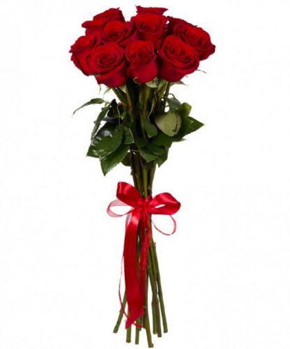 Букет из 9 красных розы купить с доставкой по Светогорску
