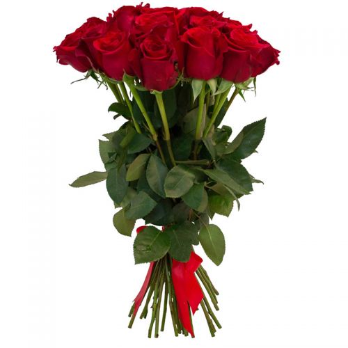 Букет из 31 красной розы - купить в интернет-магазине с доставкой по Светогорску